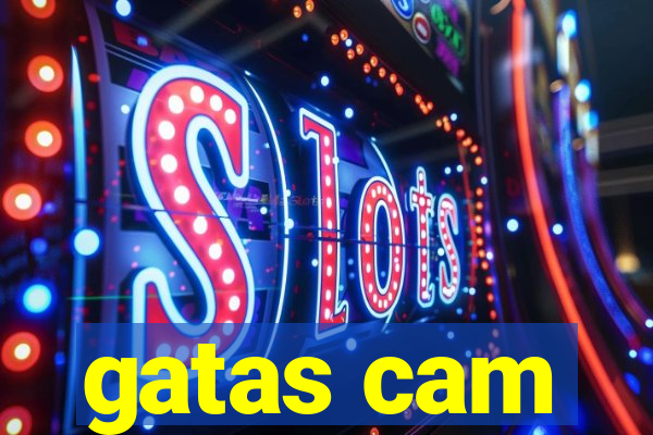 gatas cam